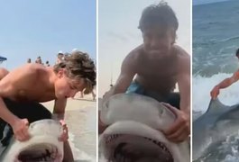 'Trend' leva pessoas a puxar tubarões para a praia para fotos e preocupa prefeito nos EUA