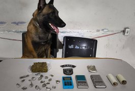 Suspeito é preso com maconha e balanças de precisão, durante cumprimento de mandado em Arapiraca