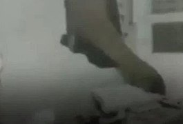Vídeo: Elefante quebra parede de casa na Tailândia para procurar comida na cozinha
