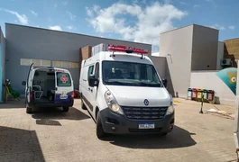 Filho descobre que mãe foi estuprada e esfaqueia responsável pelo crime até a morte no Piauí