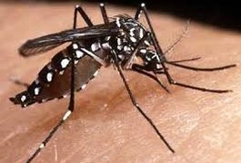 Dengue tem redução de 161% no município
