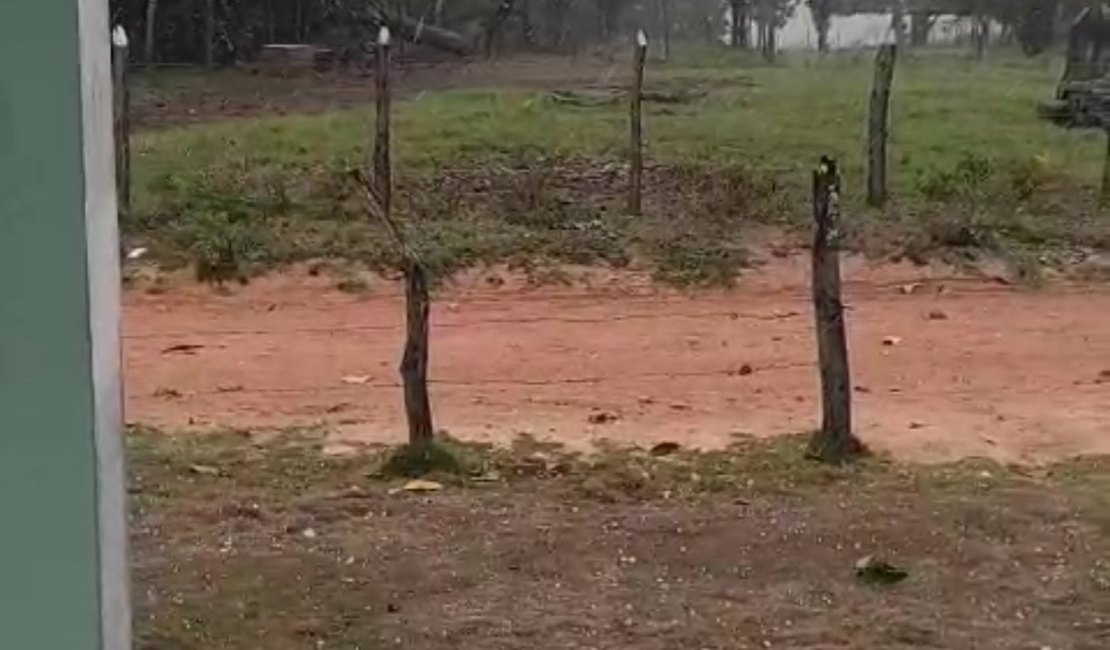 Vídeos mostram chuva de granizo em povoados do interior de Alagoas