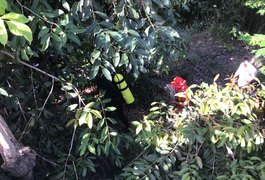 Mergulhadores procuram homem que desapareceu em rio, no interior de AL