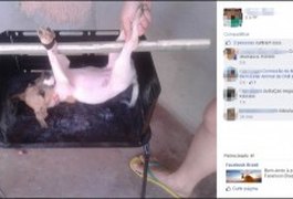 Fotos de penedense com cachorro pendurado em churrasqueira repercute nas redes sociais