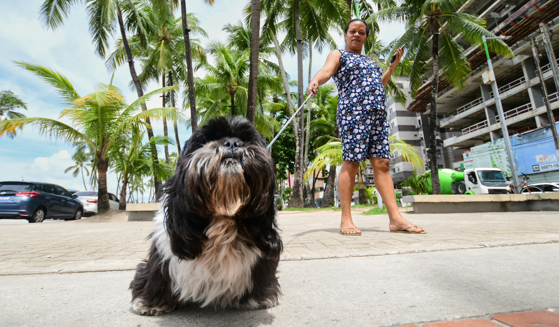 Sesau alerta sobre a importância da vigilância e controle de doenças transmitidas entre animais e seres humanos