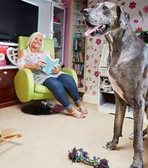 Com mais de 2 metros, morre Freddy, o cão mais alto do mundo