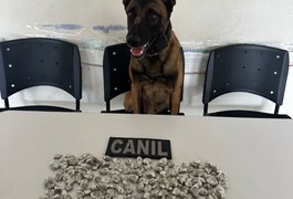 Cão farejador Kaos ajuda PM a localizar drogas escondidas em obra e três homens são levados à Central de Polícia em Arapiraca