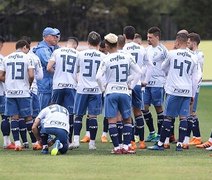 Palmeiras pode chegar ao 20º jogo invicto no Brasileirão