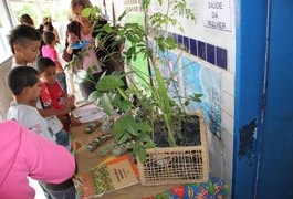 Projeto sustentável de Arapiraca é destaque em reportagem