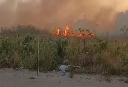 Polícia Militar prende suspeito de provocar incêndio criminoso em Maceió