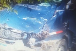 Van lotada atinge cavalo que estava solto na estrada em Canapi