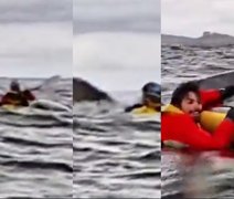 Jovem que andava de caiaque é 'abocanhado' por baleia-jubarte e sai ileso