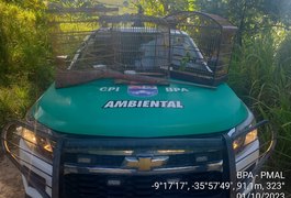 Polícia Ambiental apreende armas e resgata animais em Arapiraca e mais duas cidades alagoanas