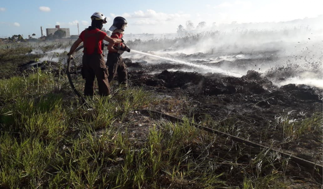 Bombeiros combatem incêndio em vegetação de Palmeira dos Índios