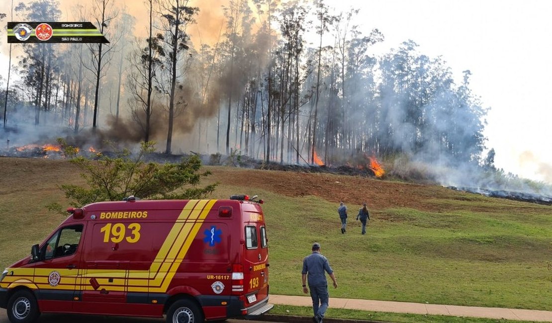 Avião cai em área de mata e sete pessoas morrem em Piracicaba, SP