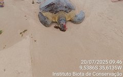 Resgate de tartaruga em Ipioca