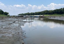 Seca já afeta todos os 62 municípios do Amazonas