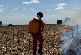Corpo de Bombeiros registra aumento de 80% nos incêndios em vegetação em Alagoas