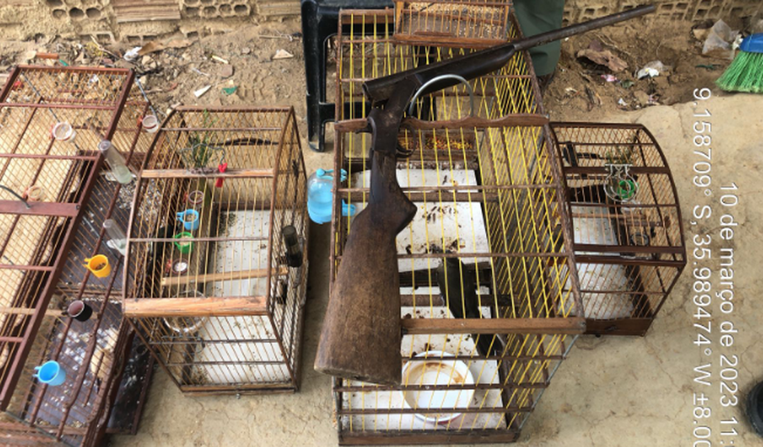 IMA apreende aves e homem é autuado em R$ 3,5 mil no interior de Alagoas