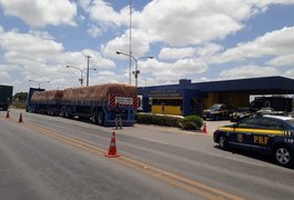 Caminhoneiros são presos e veículos roubados são recuperados em operação na BR-101, em AL