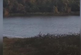 VÍDEO: Homem atravessa Lago da Perucaba nadando para chegar mais rápido ao show do Bell Marques