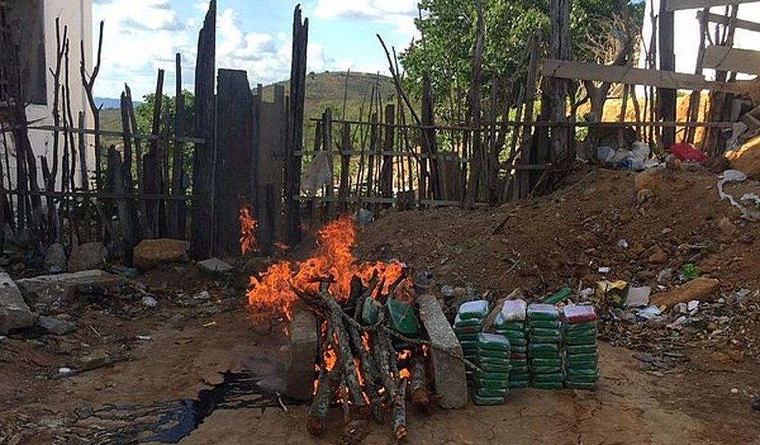 Polícia incinera 80 tabletes de cocaína encontrados dentro de fundo falso de caminhão, em Canapi