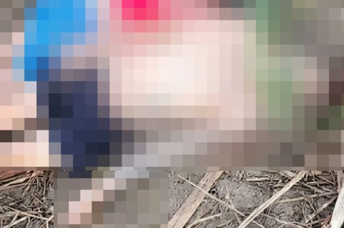 Casal é assassinado a tiros e corpos são encontrados em canavial em Novo Lino