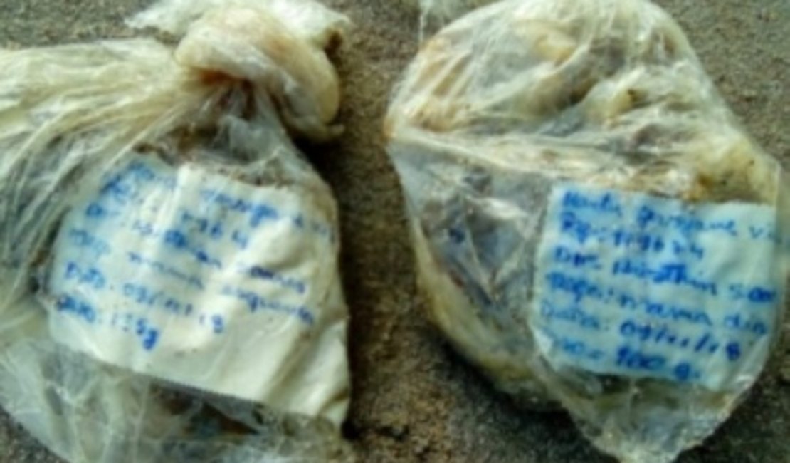 Banhista encontra restos cirúrgicos flutuando na praia de Ponta Verde, em Maceió