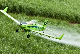 Agrotóxicos estão mais nocivos em todo o mundo, aponta estudo