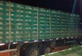 Carregamentos clandestinos de frango são autuados pela Sefaz, em AL