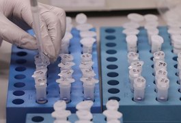 Mais de 3 mil pessoas já se curaram da covid-19 em Arapiraca, mas cidade ainda registra muitos casos positivos