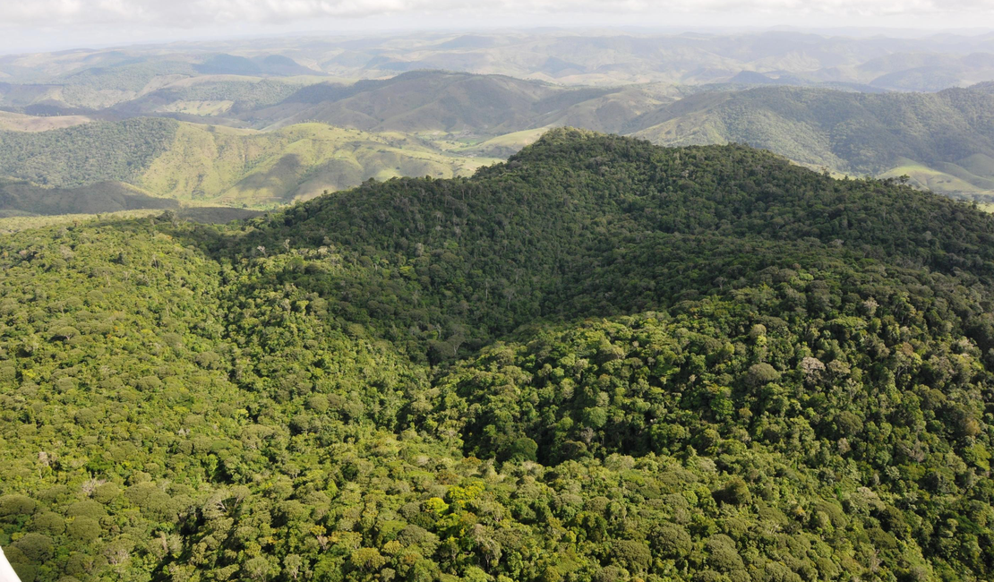 Alagoas tem o menor índice de desmatamento do Nordeste