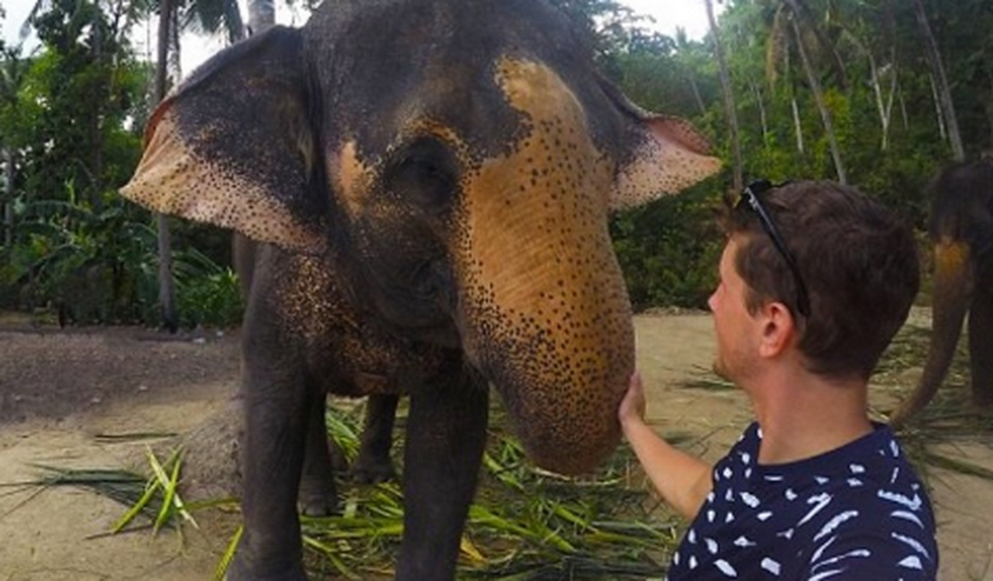 Elefante pega GoPro e faz selfie incrível na Tailândia