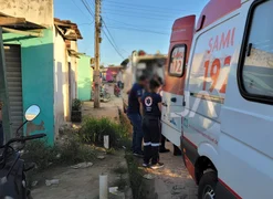 Idoso fica gravemente ferido após atropelamento na AL-110, em Arapiraca