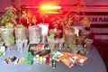 ROTAM apreende pés de maconha e prende suspeito por tráfico de drogas em Satuba