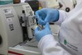 Cura de câncer de próstata pode chegar a até 98%