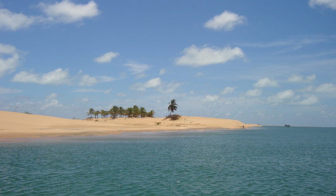 Cadáver com camisa do Flamengo é encontrado boiando no Rio São Francisco, em Piaçabuçu
