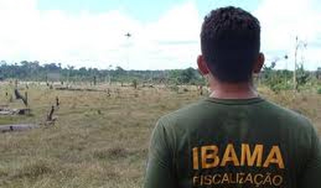 IBAMA abre inscrições para concurso 2014