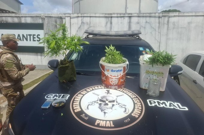 Polícia Militar apreende 5kg de drogas e descobre plantação de maconha em Maceió