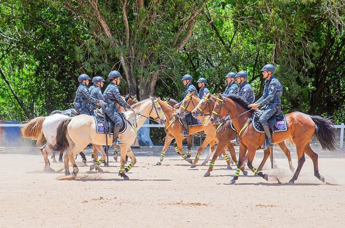 PM forma 10 militares no Curso de Policiamento Montado