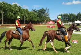 Arapiraca sedia evento regional de criadores de cavalos