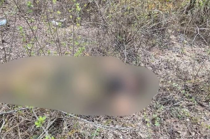 Suposta troca de tiros deixa dois jovens mortos em Junqueiro, Agreste de Alagoas