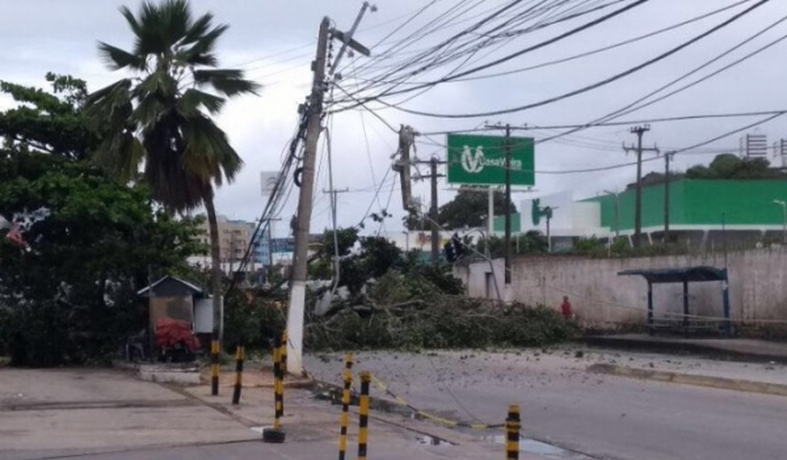Árvore cai, derruba postes e deixa trânsito lento em Maceió