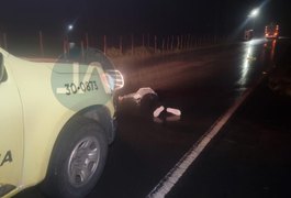 Jovem ciclista morre na AL-115 entre Lagoa da Canoa e Girau do Ponciano; assista