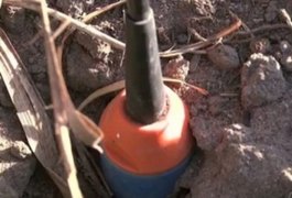 Empresa fecha as portas e deixa quase 500 bananas de dinamites enterradas