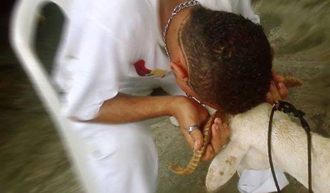 Após vetar vaquejada, Supremo vai julgar sacrifício religioso de animais