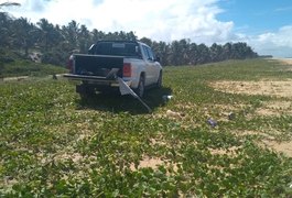 IMA multa motoristas que transitavam em área de desova de tartarugas