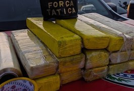 Polícia apreende quase 12 kg de maconha na parte alta de Maceió