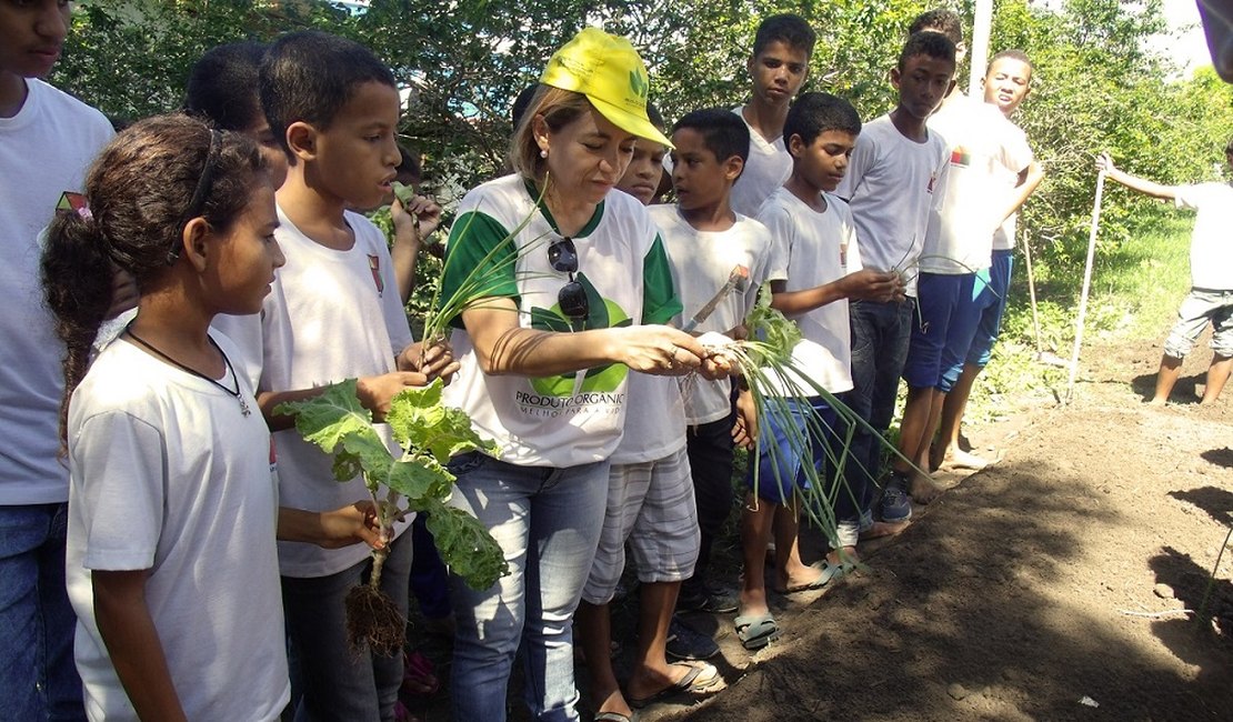 Emater implanta horta orgânica no Lar São Domingos