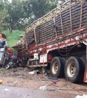Polícia identifica vítimas do acidente de ônibus de Alagoas em Minas Gerais